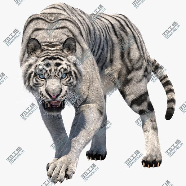 images/goods_img/20210312/3D White Tiger Fur/1.jpg